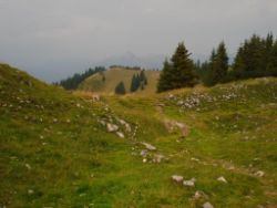 2013-08-25_Risserkogel (229).JPG